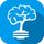 Brainsfeed icon