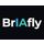 BrIAfly icon