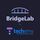 BridgeLab icon