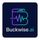 Buckwise icon