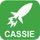 Cassie icon