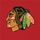 Chicago Blackhawks icon