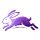 Conejo Survey icon