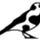 Cowbird icon