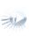 CutSnap icon