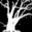 DarkTree icon