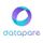 Datapare icon