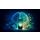 Digital Detox Engine icon