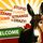 Dumb Warnings icon
