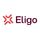 Eligo eVoting icon