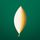 Endleaf icon