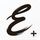 Expressed icon