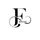 Fideliya Pass icon