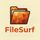 FileSurf icon