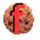 FlashCookiesView icon