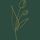 Floriography icon