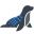 Foca Upscaler icon