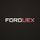 Forduex icon