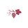 Gioia: AI Wine Companion icon
