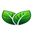 Green Webpage icon