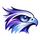 HawkView icon