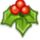 Holly icon