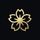 Hoshika icon