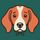 Houndtrust icon