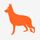 Indoor Dog Park Directory icon