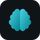 Insula icon