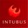 Intubus icon