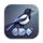 Jackdaw icon