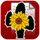 KanzonasPDF icon