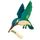 Kingfisher icon