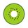 Kivi icon