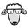 Lamco RDP Server icon