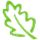 Leaf Networks icon