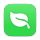 Leaf icon