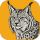Lightcraft icon