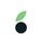 Mailberry icon