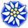 MSEide + MSEgui icon