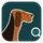 Niche Hound icon