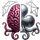 OctoCoach icon