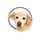 Oddinote icon