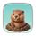 Omni Search icon