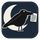 Page Raven icon
