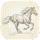 Palomino icon