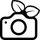 PiGallery2 icon