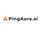 PingAura  icon
