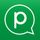 Pinngle icon